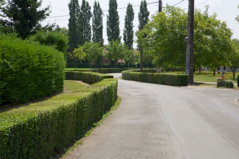 Many of the villages in this area have these very neat hedges right on the edge of the tarmac.  Apparently they are to help slow traffic down by keeping the width to a minimum.