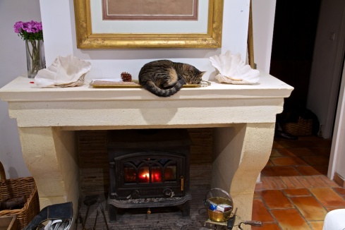Sue's cat Jazz snoozing in the warmest spot in the house.